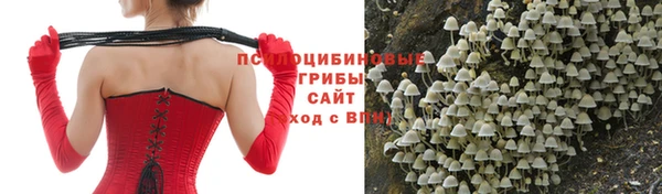 кокс Надым